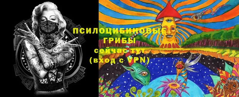 Псилоцибиновые грибы Cubensis  blacksprut маркетплейс  Павлово  наркошоп 